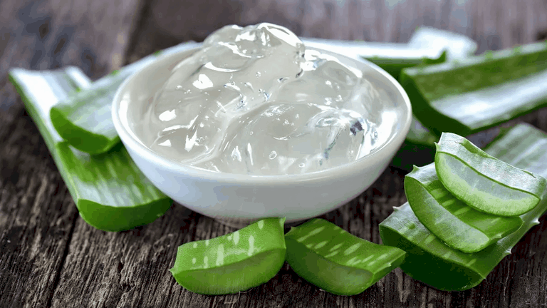 Gel d'aloe vera pur gel